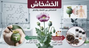 الخشخاش..نبات البهجة.